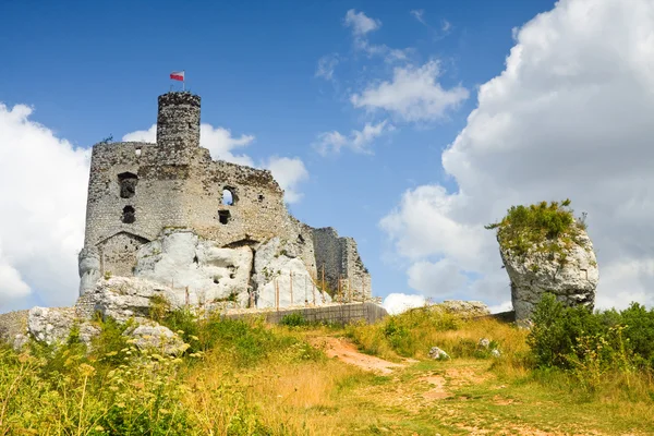 Ruins of medieval castle Mirow in Poland — Stock Photo, Image