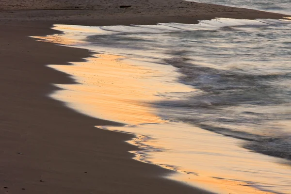 夕暮れの海岸のクローズ アップ — ストック写真