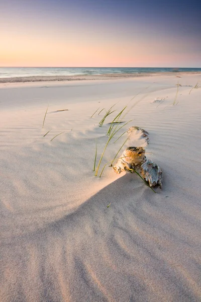 Mar Báltico al amanecer en la playa de Polonia. —  Fotos de Stock