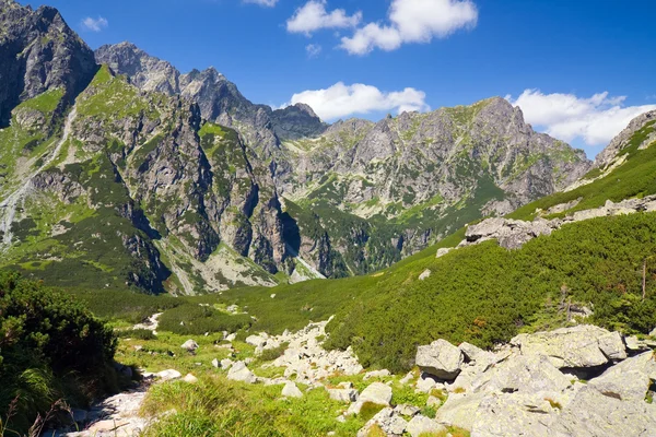 Valle de Bielovodska en High Tatras, Eslovaquia — Foto de Stock