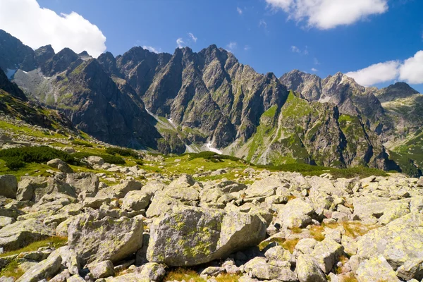 Bielovodska 谷在高塔特拉山区，斯洛伐克 — 图库照片