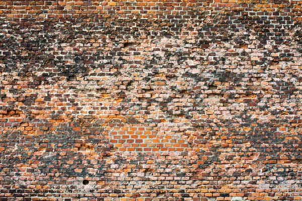 Achtergrond van baksteen muur textuur — Stockfoto