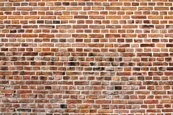 Background of brick wall texture — Stock Photo, Image