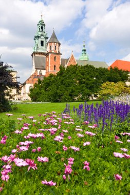 Polonya, Krakow 'daki Wawel Kalesi