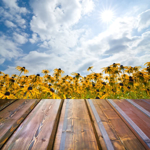 Beautiful garden background with empty wooden deck table. Ready for product montage display. — Stock Photo, Image