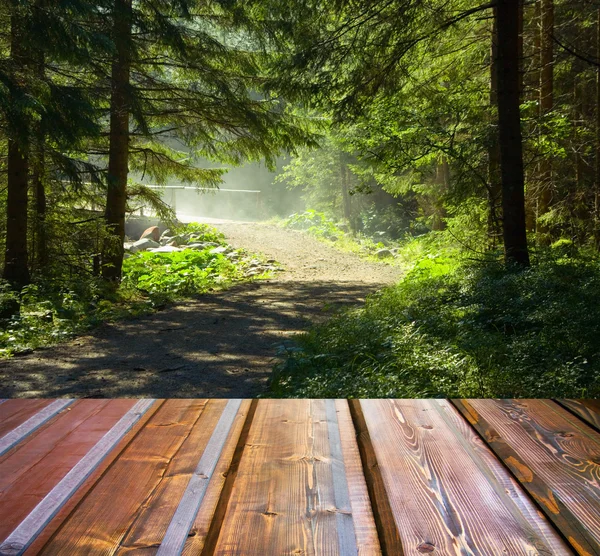 Bella luce del sole nella foresta autunnale e pavimento in assi di legno — Foto Stock