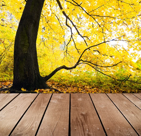 Mesa de madera vacía en el parque. Listo para pantalla de montaje de producto . — Foto de Stock