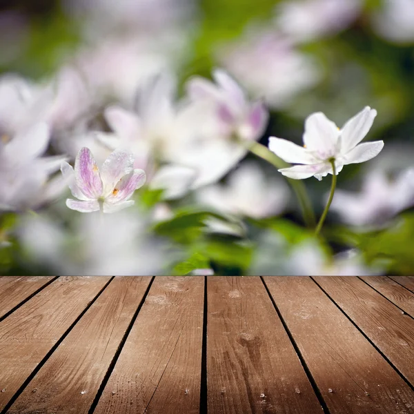 Białego Zawilec kwiaty i pusty pokład drewniany stół. — Zdjęcie stockowe