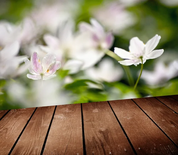 White anemone flowers and empty wooden deck table. — Stock Photo, Image