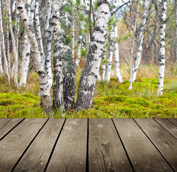 Lege houten dek tabel in het park. Ready, voor product montage weergave. — Stockfoto