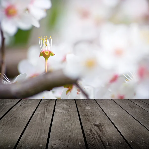 Flores de maçã na primavera e mesa de deck de madeira vazia . — Fotografia de Stock