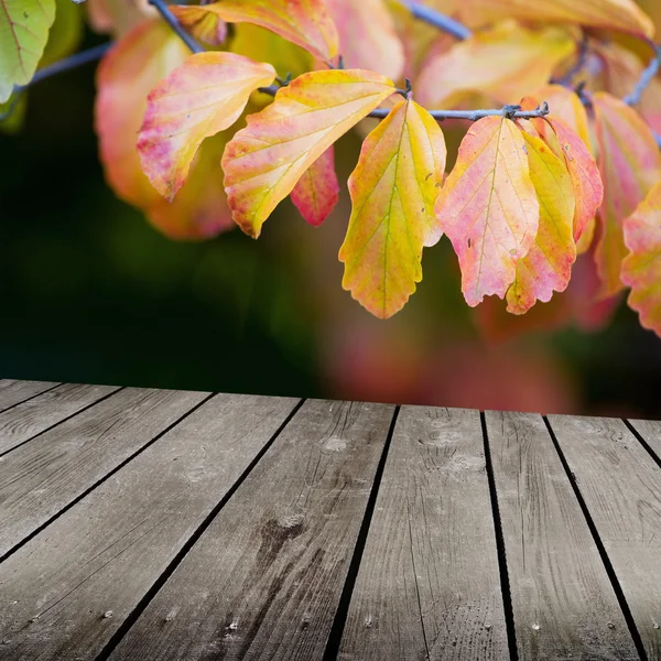Jesień tematu i pusty pokład drewniany stół. gotowy produkt montaż wyświetlacza — Zdjęcie stockowe