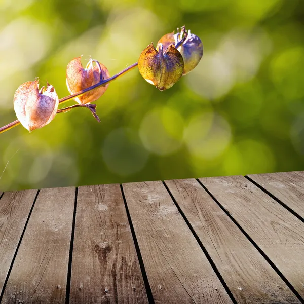 Autumn theme and empty wooden deck table. Ready for product montage display — Stock Photo, Image