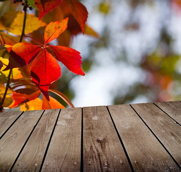 Herbstthema und leerer Holzdecktisch. bereit für die Produktmontage — Stockfoto