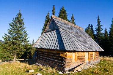 Sonbahar sezonu, tatry dağlara, Polonya çayır üzerinde ahşap kulübe çoban