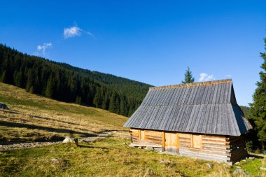 Sonbahar sezonu, tatry dağlara, Polonya çayır üzerinde ahşap kulübe çoban