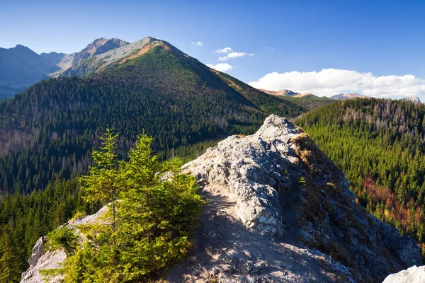Vista de las montañas desde el sendero con una marca de sendero turístico en la roca . —  Fotos de Stock