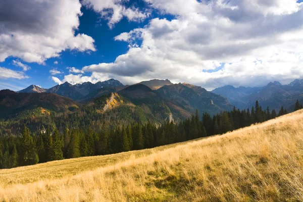 Tajemnost horské krajiny, tatry, Polsko — Stock fotografie