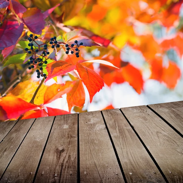Jesień tematu i pusty pokład drewniany stół. gotowy produkt montaż wyświetlacza — Zdjęcie stockowe