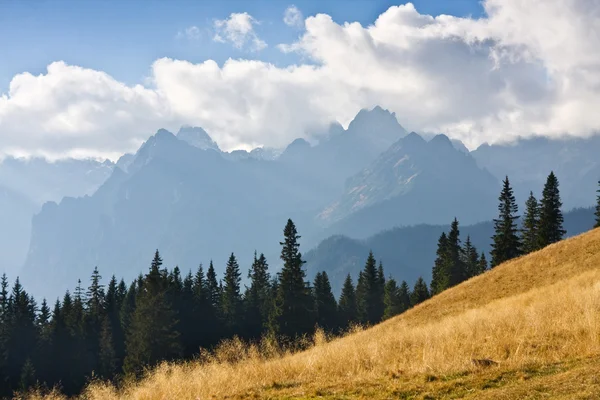 Bergslandskap, tatry, Polen — Stockfoto