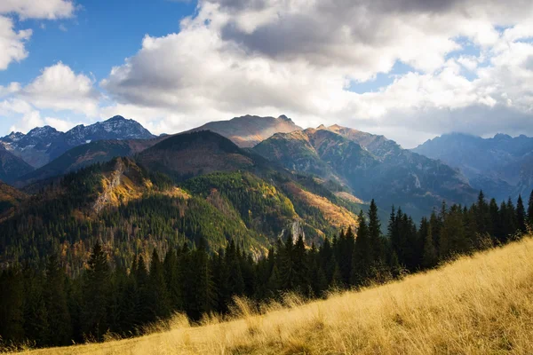 Skönhet bergspanorama, rusinowa polana, tatry, Polen — Stockfoto