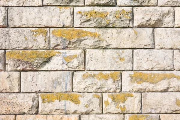 Textura de una pared de piedra marrón . — Foto de Stock