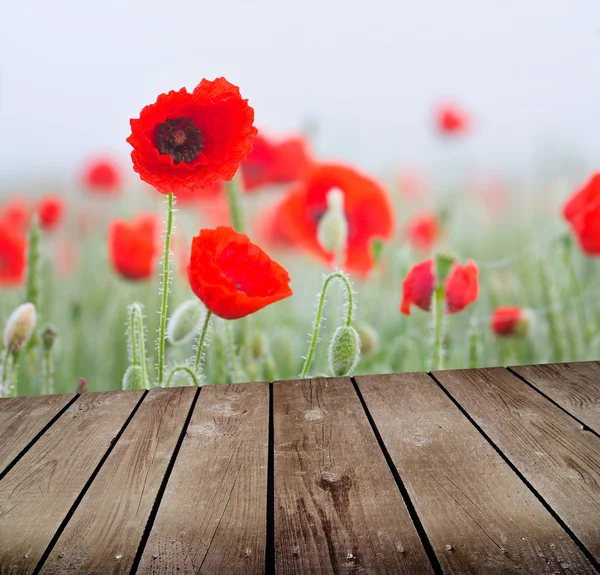 Field of poppies and empty wooden deck table — Stock Photo, Image