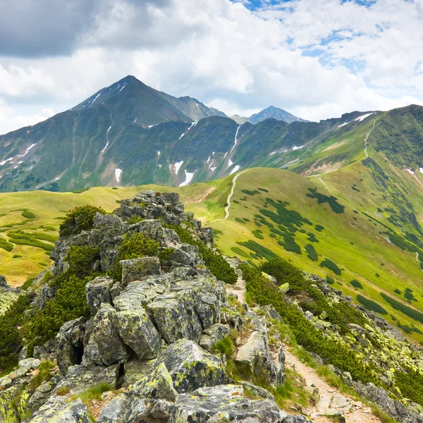 Tatra gebergte - chocholowska valley — Stockfoto