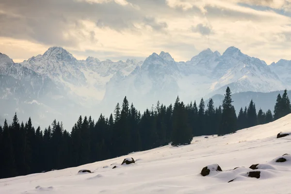 Vista de invierno de la superficie congelada de las montañas de Tatra — Foto de Stock