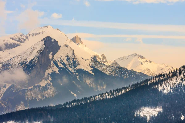 Vista de invierno de la superficie congelada de las montañas de Tatra —  Fotos de Stock