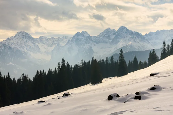 Vista de invierno de la superficie congelada de las montañas de Tatra — Foto de Stock