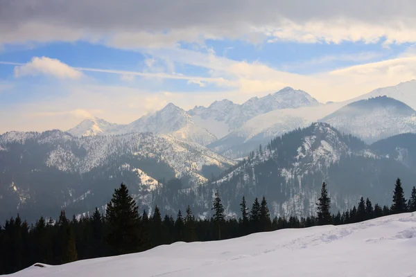 Vista de invierno de la superficie congelada de las montañas de Tatra — Foto de Stock