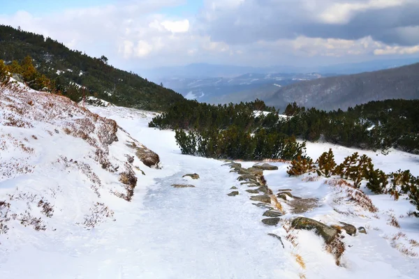 哈拉 gasienicowa，冬季景观高塔特拉山 — 图库照片