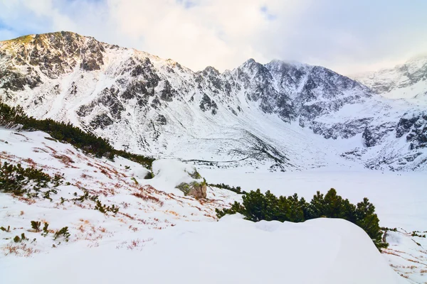 哈拉 gasienicowa，冬季景观高塔特拉山 — 图库照片