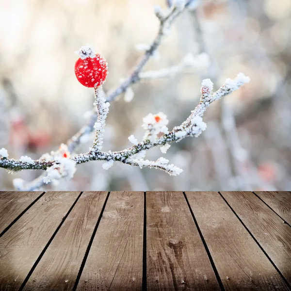 Winter achtergrond, rode bessen op de bevroren takken gedekt wi — Stockfoto