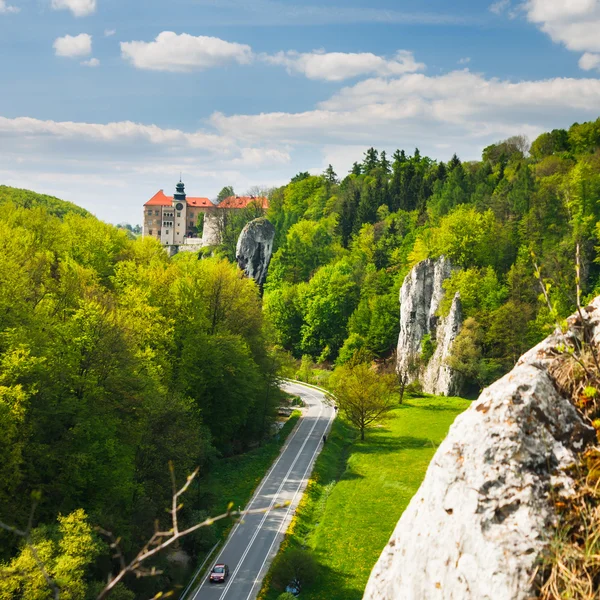 Château Pieskowa Skala à National Ojcow Park, Pologne — Photo