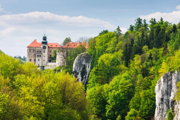 Kasteel National skala in nationale ojcow park, Polen — Stockfoto