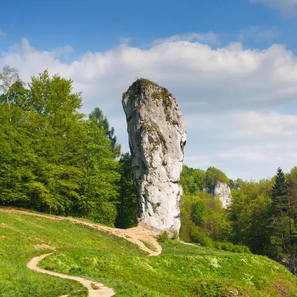 Maczuga herkulesa, kaya ojcow Ulusal Park, Polonya — Stok fotoğraf