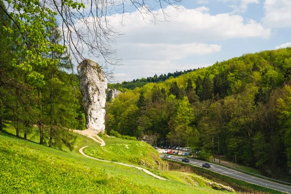 Maczuga Herkulesa, rock in National Ojcow Park, Poland — Stock Photo, Image