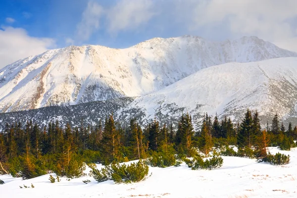 哈拉 gasienicowa，冬季景观高塔特拉山 — 图库照片