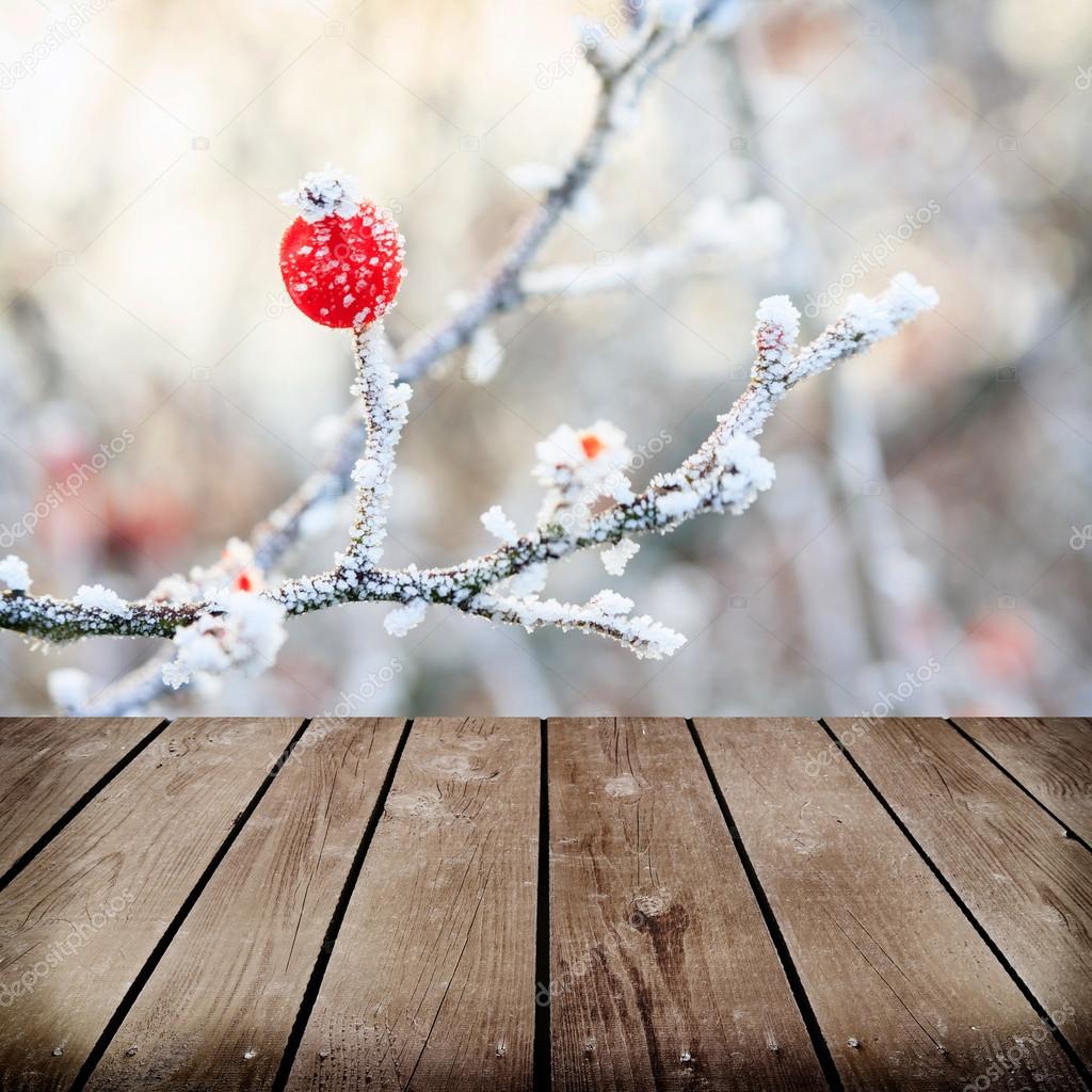 Winter background, red berries on the frozen branches covered wi