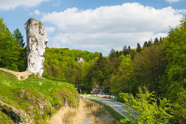 Maczuga Herkulesa, rock in National Ojcow Park, Poland — Stock Photo, Image