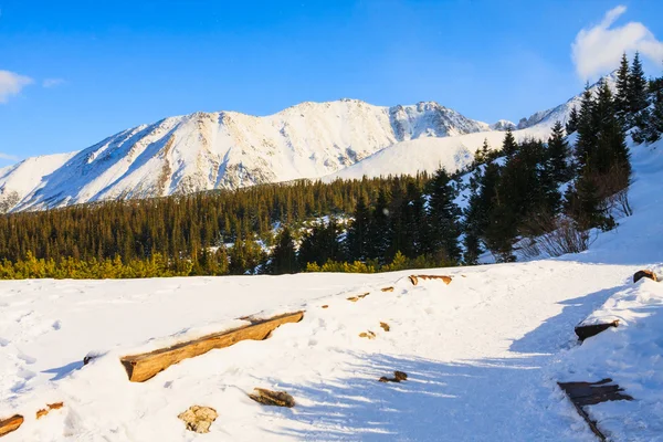 Hala gąsienicowa, zimowy krajobraz, Tatry Wysokie — Zdjęcie stockowe