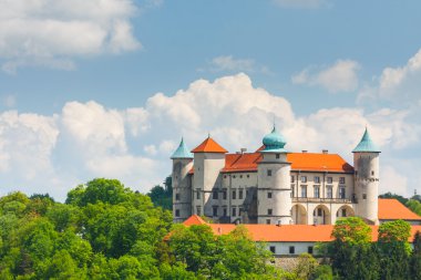 Görünüm nowy wisnicz Kalesi, Polonya 