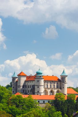 Görünüm nowy wisnicz Kalesi, Polonya 