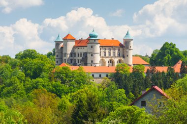 Görünüm nowy wisnicz Kalesi, Polonya 