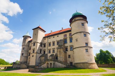 Görünüm nowy wisnicz Kalesi, Polonya 