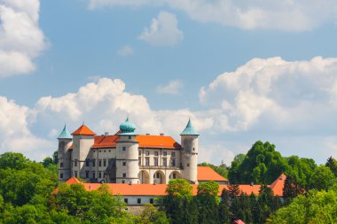 Görünüm nowy wisnicz Kalesi, Polonya 
