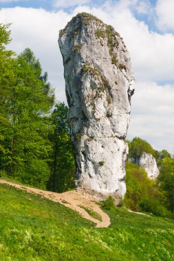 maczuga herkulesa, kaya ojcow Ulusal Park, Polonya 