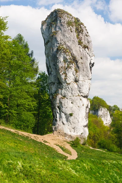Maczuga herkulesa, rock i nationella ojcow park, Polen — Stockfoto